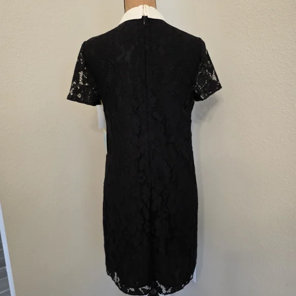 CeCe Black Lace Mini Dress with White Collar - Picture 3 of 5